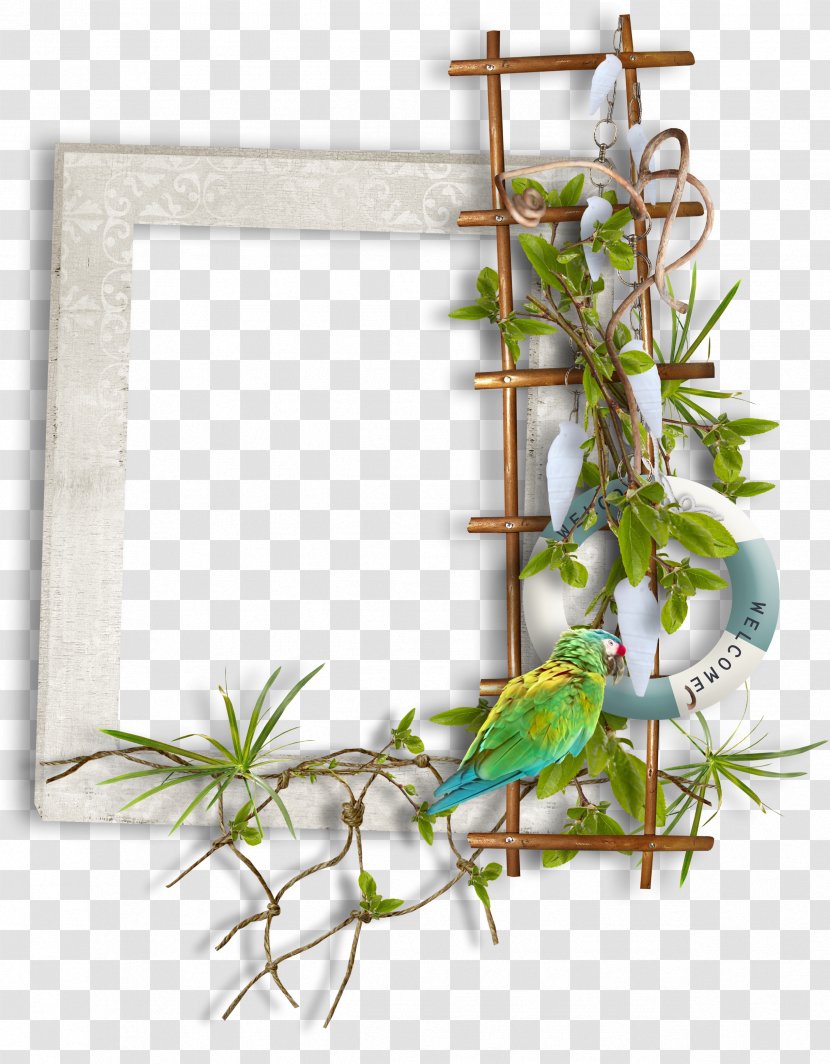 Clip Art - Branch - Parrot Ladder Block Transparent PNG