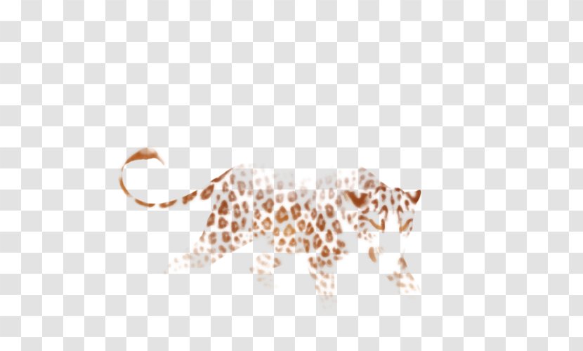 Leopard Cheetah Felidae Giraffe Lion - Cat Transparent PNG