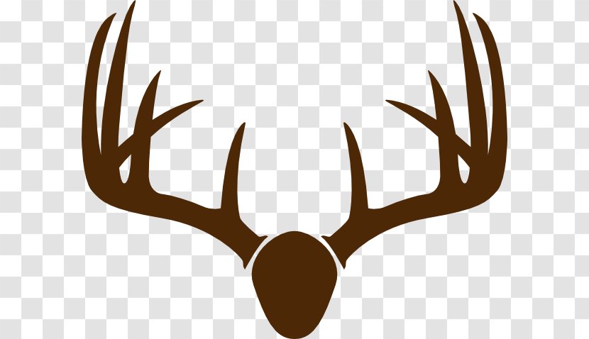 White-tailed Deer Elk Moose Antler - Black And White - Vector Transparent PNG