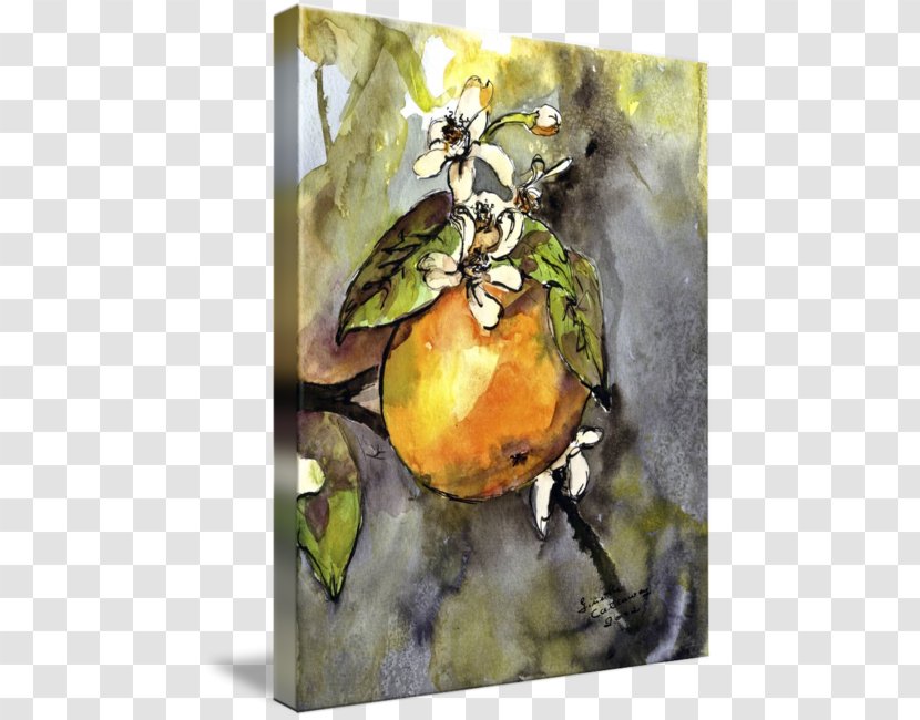 Still Life Photography Watercolor Painting Pear - Ink Watercolour Transparent PNG
