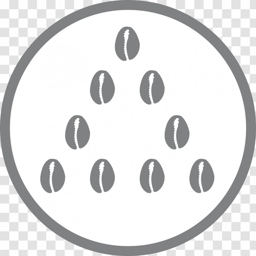 Cowrie-shell Divination Ritual Vision Quest Apothecary Transparent PNG