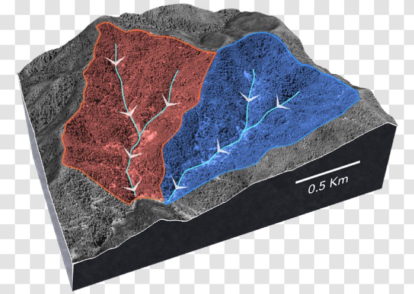 Mineral - Flower - Drainage Basin Volcanic Cones Transparent PNG