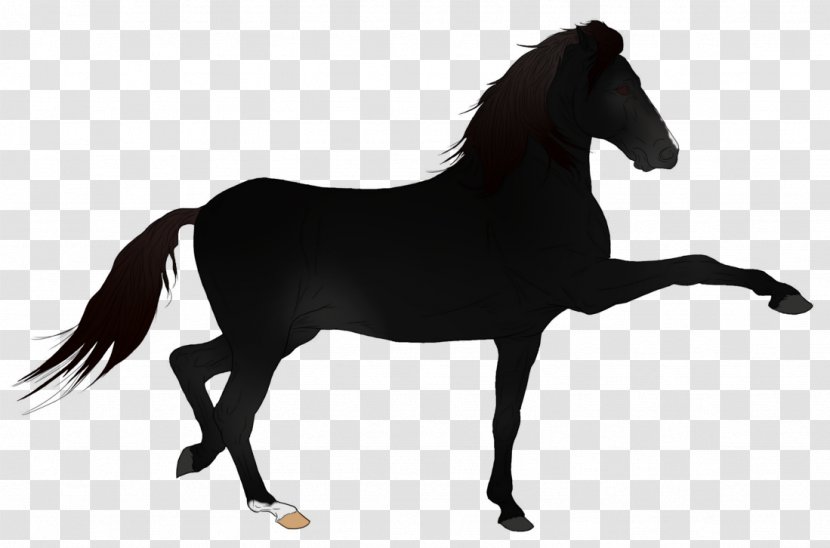 Mustang Stallion Australian Stock Horse Pony Rein Transparent PNG
