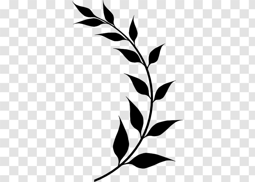 Laurel Wreath Bay Leaf Olive Clip Art - Pimenta Racemosa Transparent PNG