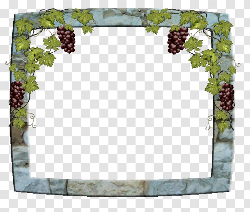 Common Grape Vine Picture Frames Vigne Paper - Raisin Transparent PNG