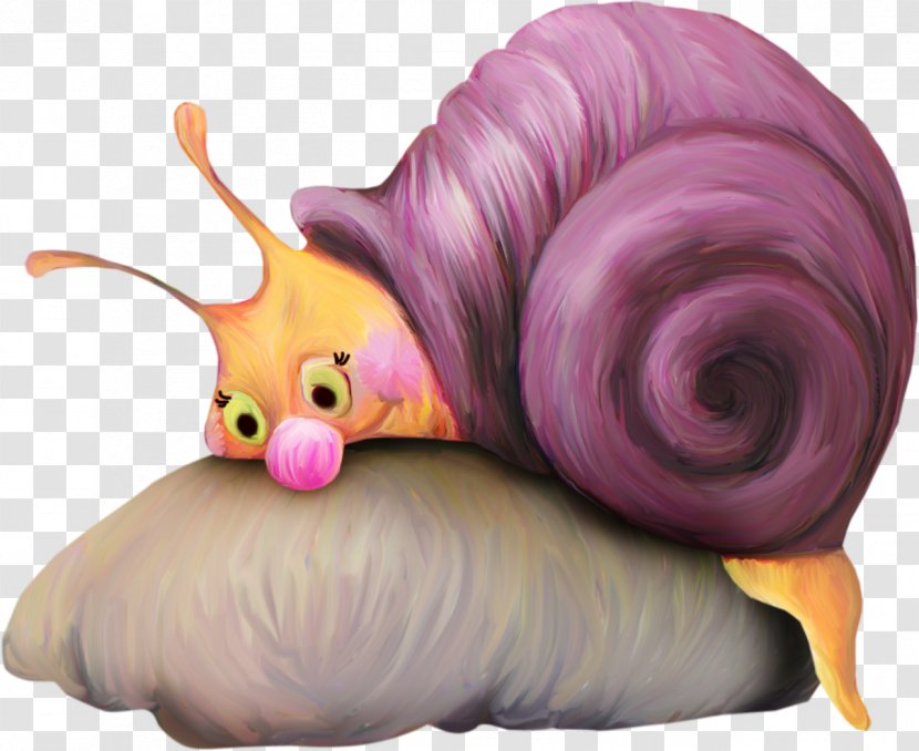 Snail Watercolor Painting Clip Art - Color - Snails Transparent PNG