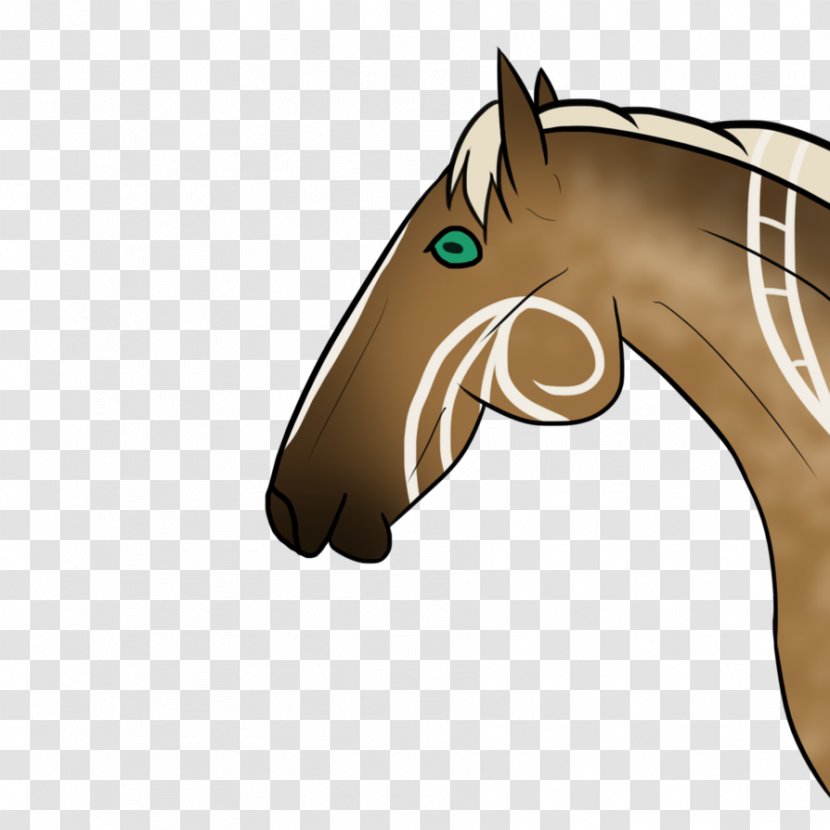 Mane Halter Mustang Pony Stallion Transparent PNG