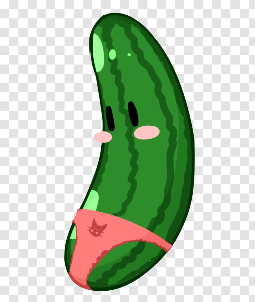 Watermelon Pickled Cucumber Drawing Muskmelon - Flower Transparent PNG