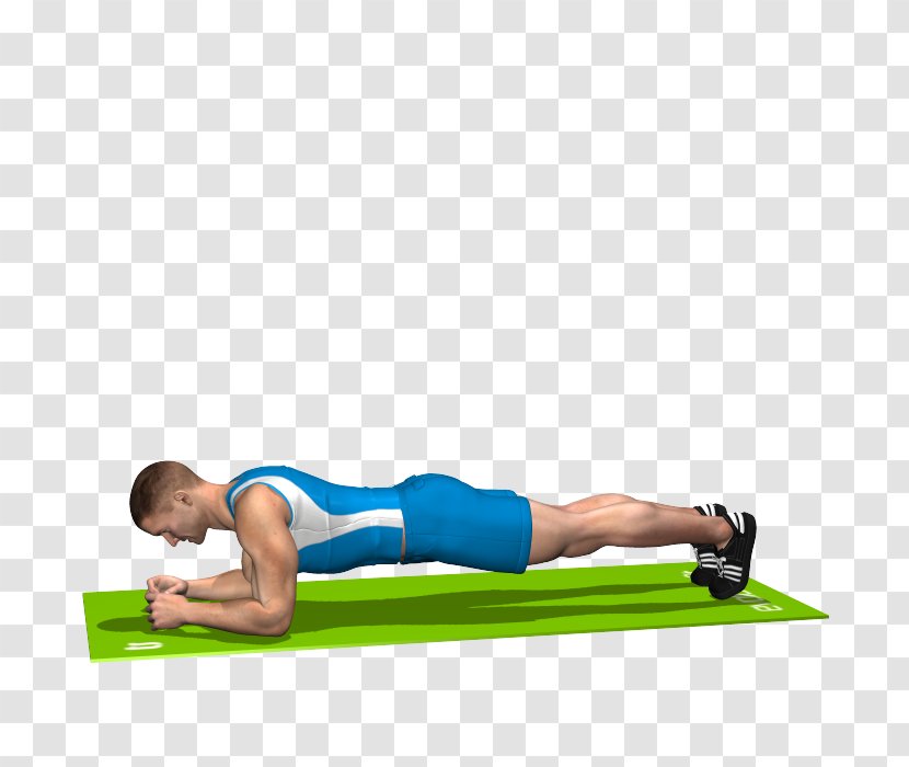 Plank Pilates Crunch Hip Rectus Abdominis Muscle - Cartoon - Fitness Transparent PNG