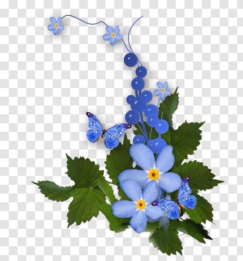 Clip Art - Flower - Forget Me Not Transparent PNG