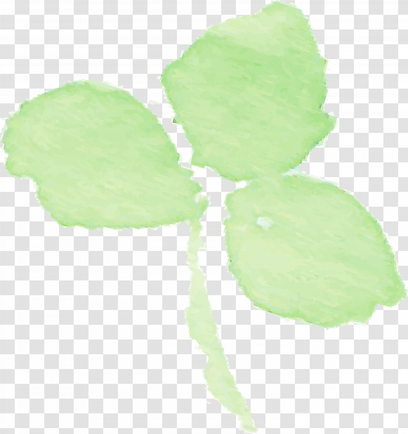 Leaf Green Plant Flower Transparent PNG