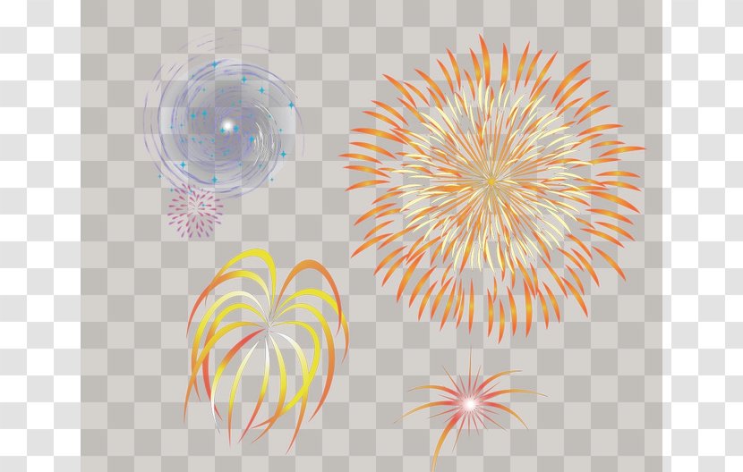 Graphic Design Close-up Petal Pattern - Fireworks Transparent PNG