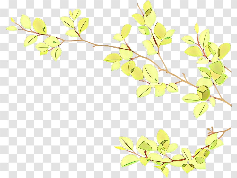 Tree Branch - Plant Stem - Flower Transparent PNG