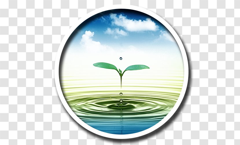 Paper Drinking Water Resources Pollution - Heart - Treatment Transparent PNG
