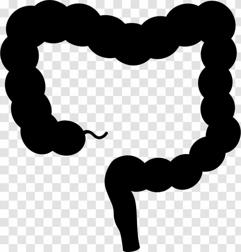 Intestine Clip Art - Love - Intestines Transparent PNG