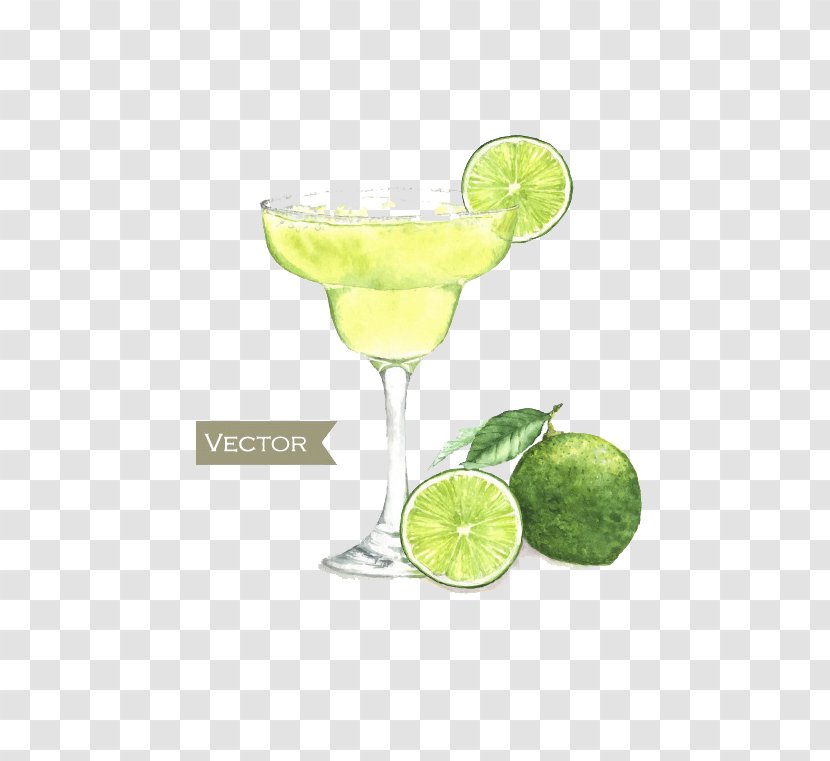Cocktail Margarita Martini Watercolor Painting - Lime Juice - Fresh Lemon Transparent PNG
