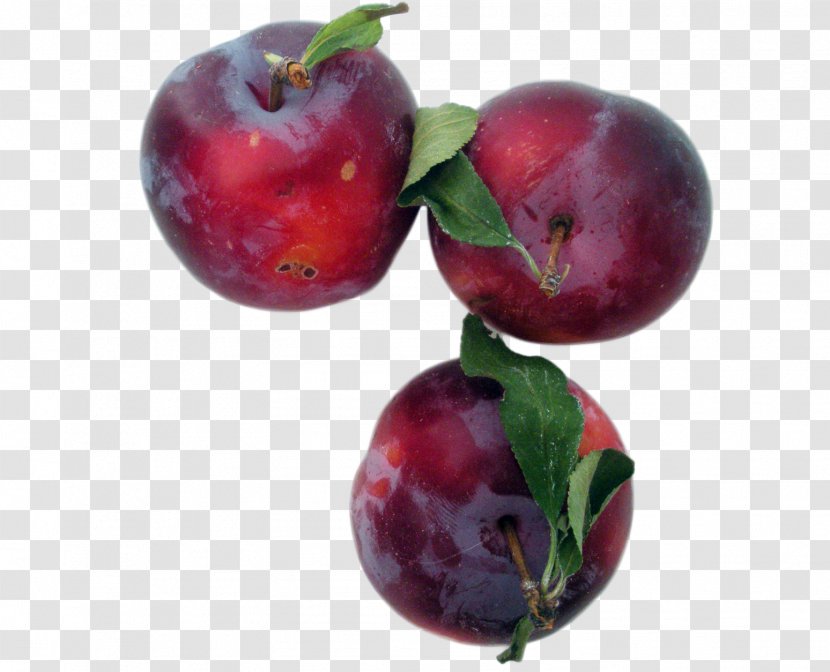 Prunus Sect. Cherries Fruit Jam Sour Cherry - Cranberry - Plum Transparency And Translucency Transparent PNG