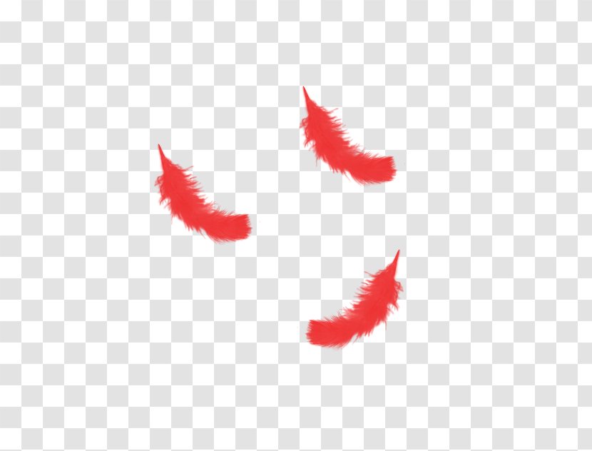 Red Feather - Wing Transparent PNG