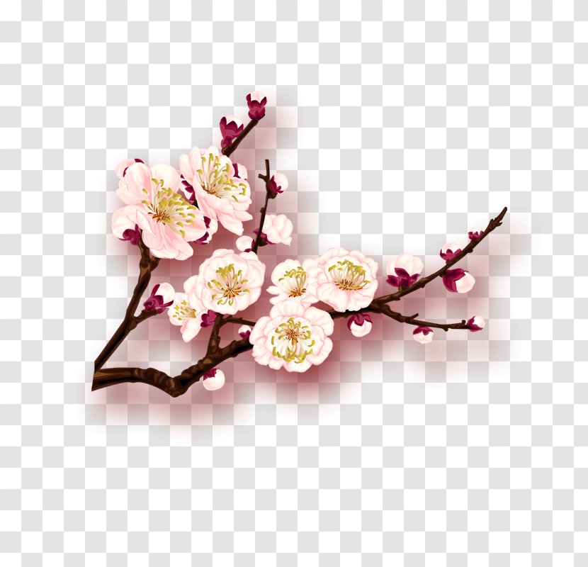 Lunar New Year Sales Promotion - Artificial Flower - Plum Transparent PNG