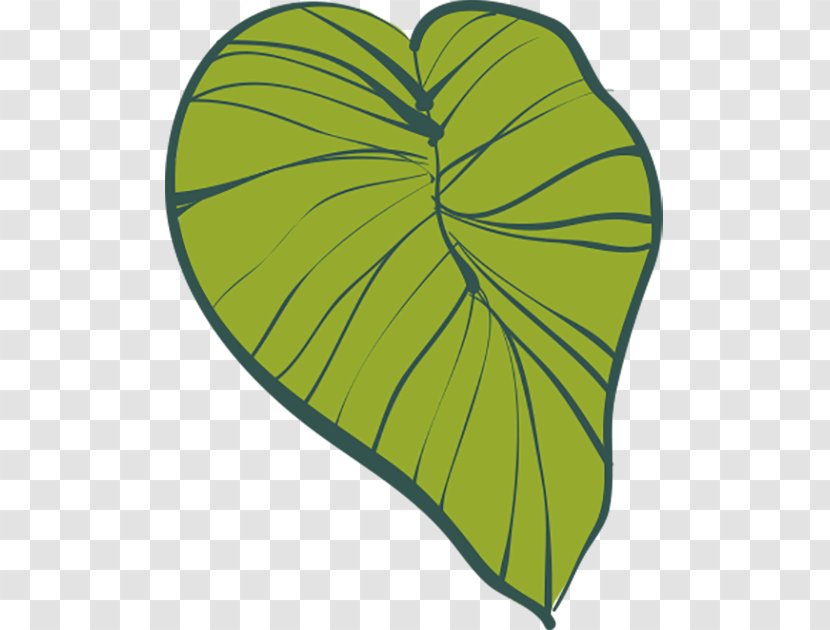 Leaf Green Drawing Cartoon - Animation - Leaves Transparent PNG