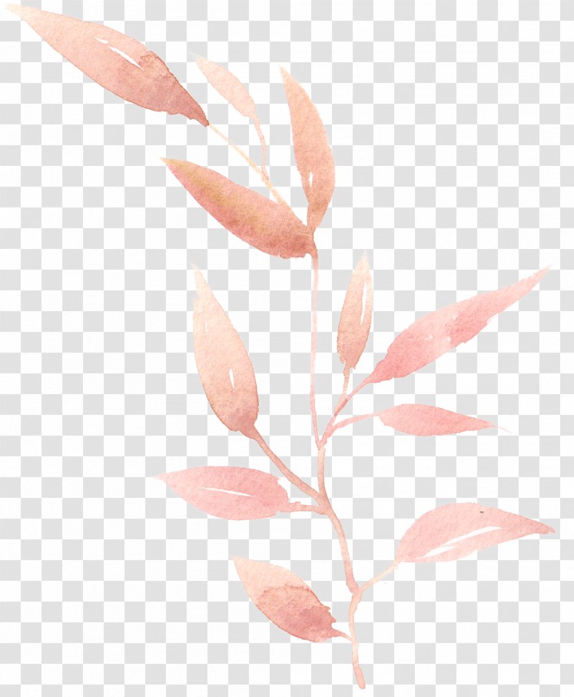 Watercolor Painting Leaf - Peach - Hand-painted Leaves Transparent PNG