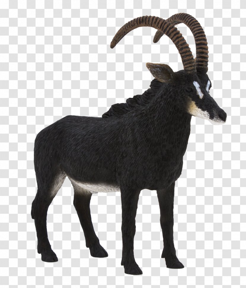 Sable Antelope Pronghorn Wildlife Gazelle - Goat Transparent PNG