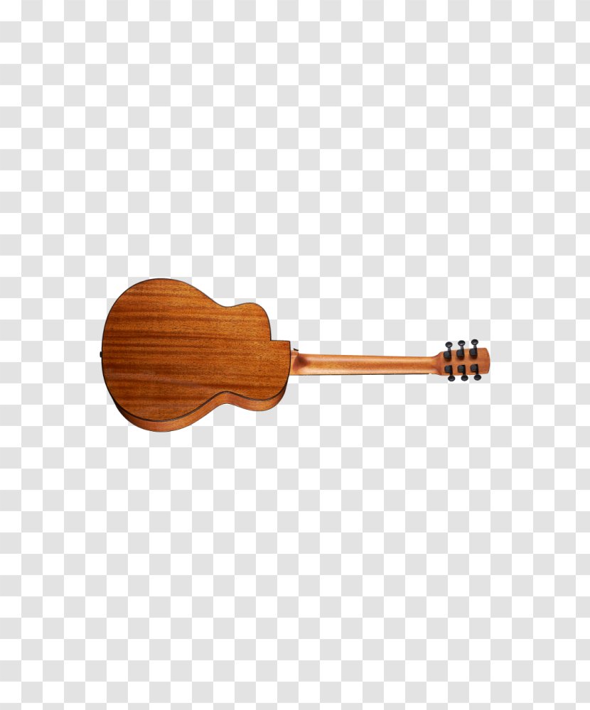 Ukulele Bird Acoustic Guitar Feather - Plucked String Instruments Transparent PNG