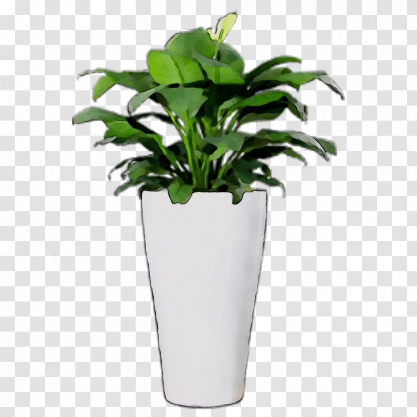 Flowerpot Leaf Houseplant Tree - Herb - Vase Transparent PNG