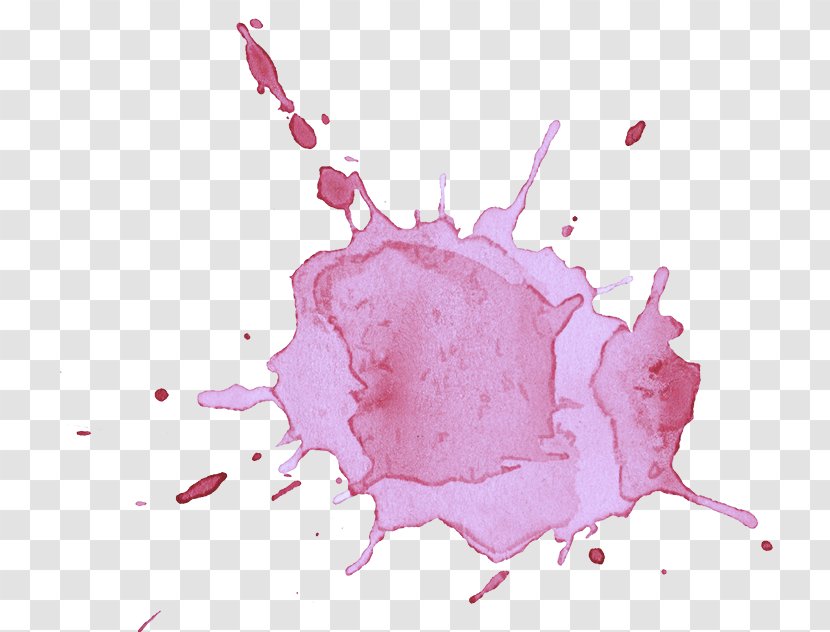 Pink Magenta Plant Animation Liquid - Drawing Flower Transparent PNG