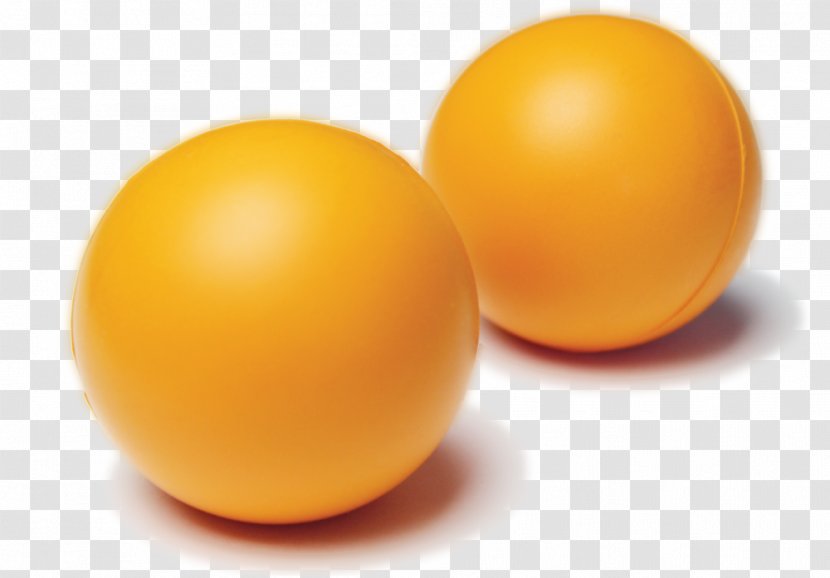 Sphere - Exercise Balls Transparent PNG