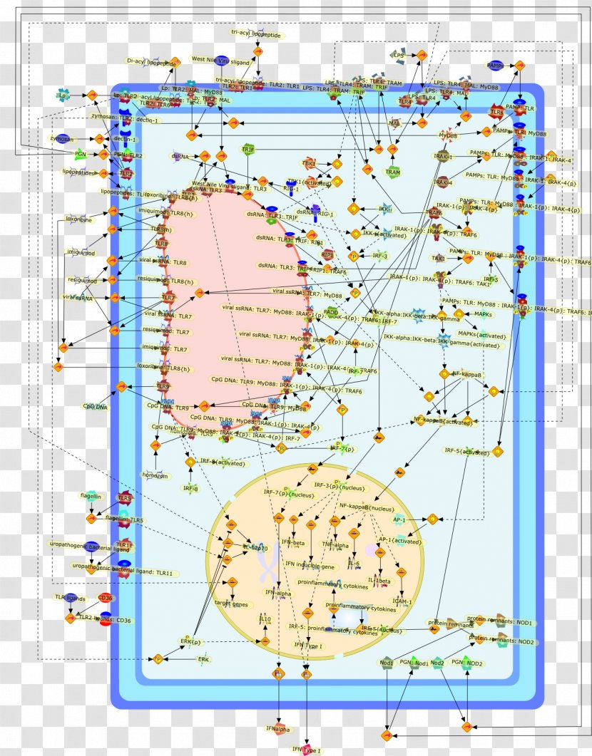 Line Point Map Tuberculosis Transparent PNG