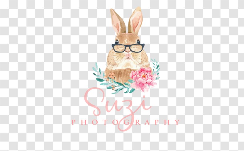 Rabbit Easter Bunny Photographer Wedding Photography - Rabits And Hares Transparent PNG