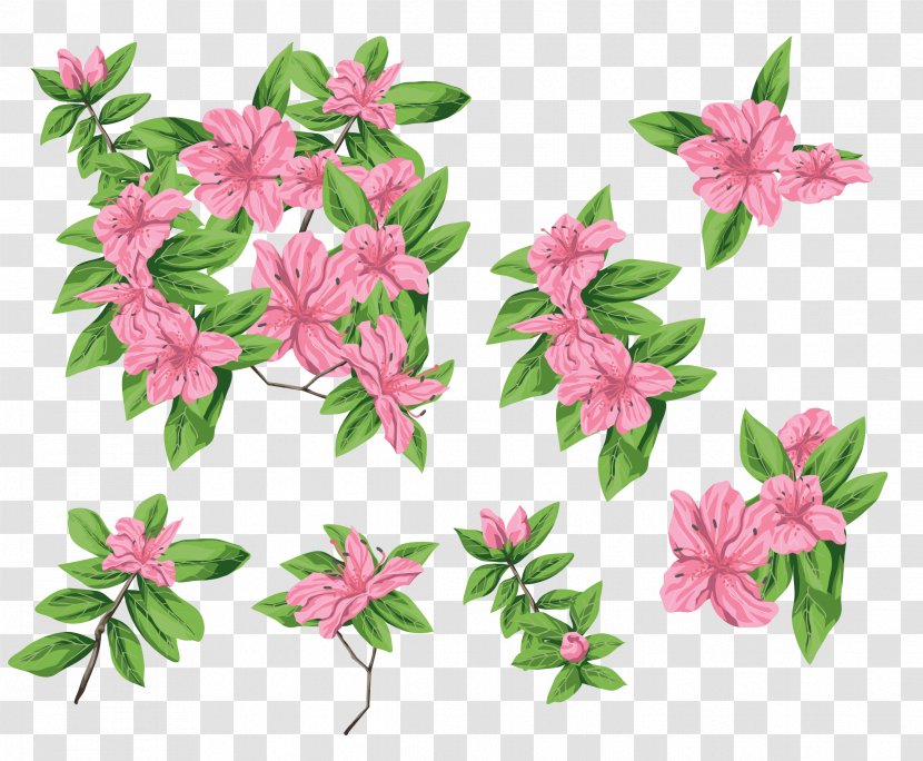 Cut Flowers Clip Art - Display Resolution - Waterflower Transparent PNG