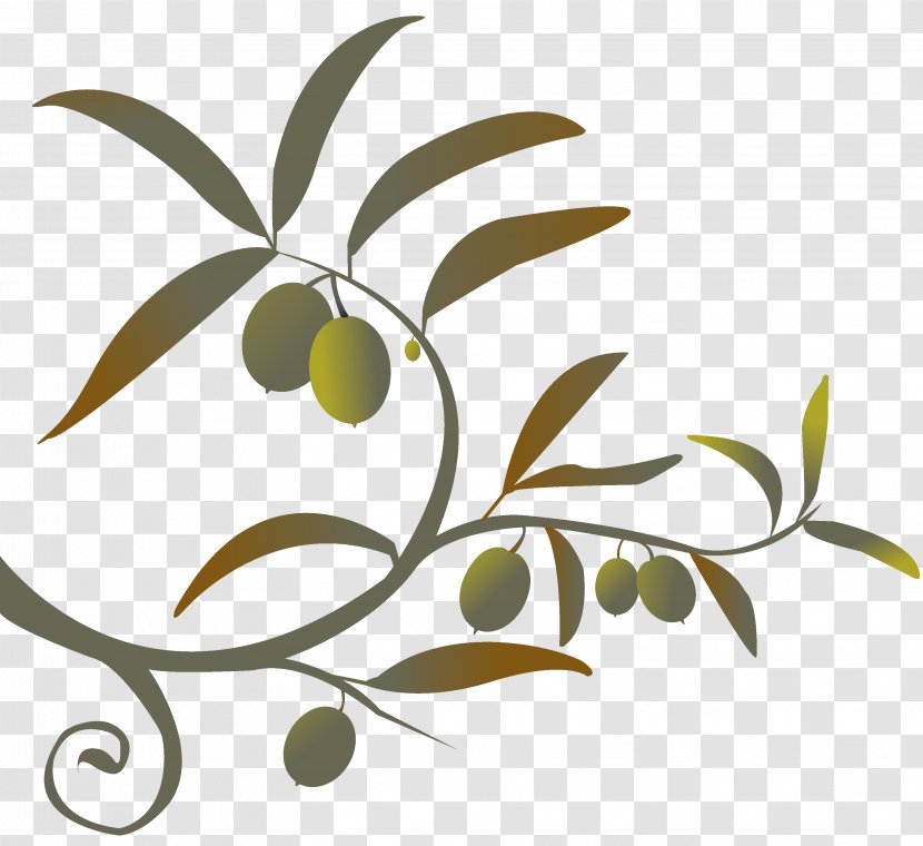 Olive Branch Clip Art Transparent PNG