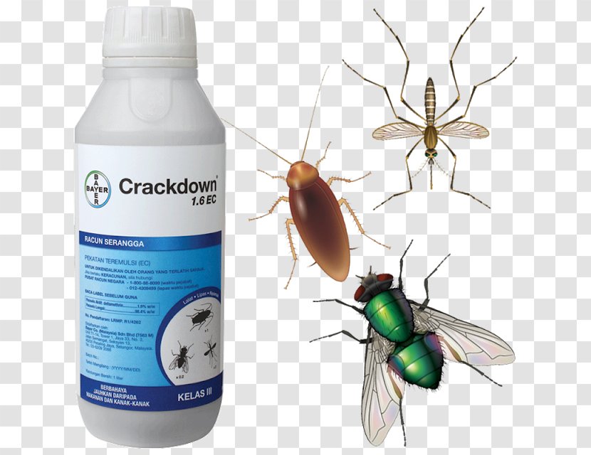 Crackdown Insecticide Pest Mosquito - Invertebrate Transparent PNG