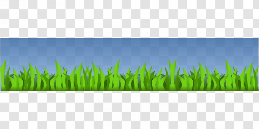 Lawn Meadow Energy Grasses Sky Plc - Grass Transparent PNG