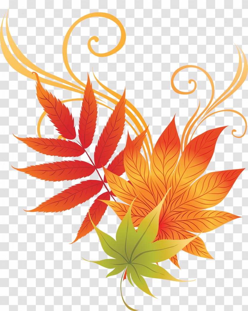 Ornament Leaf Floral Design Abscission Clip Art - Plant - Mid-autumn Logo Transparent PNG