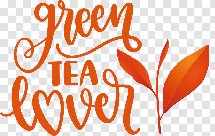 Green Tea Lover Tea Transparent PNG