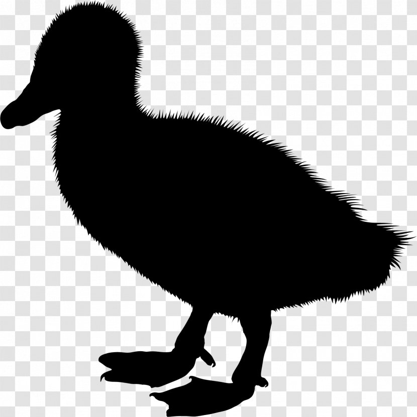 Duck Clip Art Silhouette Illustration Vector Graphics - Waterfowl Transparent PNG