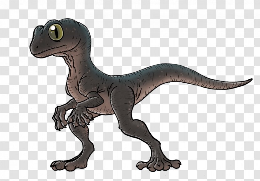 Velociraptor Tyrannosaurus Terrestrial Animal - Reptile - Gecko Transparent PNG