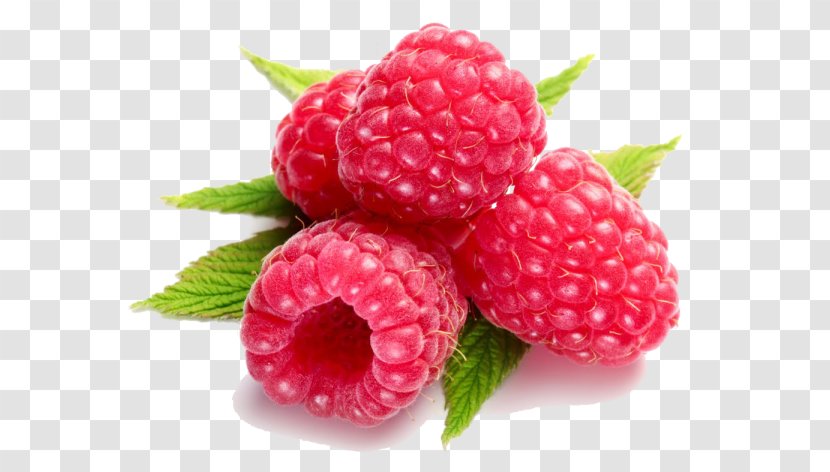 Raspberry Herbal Tea Boysenberry - Blue Flavor Transparent PNG