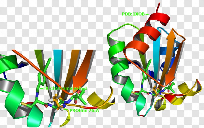 Thioredoxin Enzyme Glycolysis Antioxidant - Oxidoreductase - Glutathione Transparent PNG