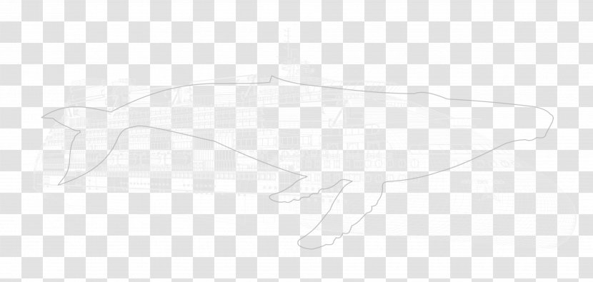 Drawing Line Art Sketch - Hm - Wireframes Material Transparent PNG