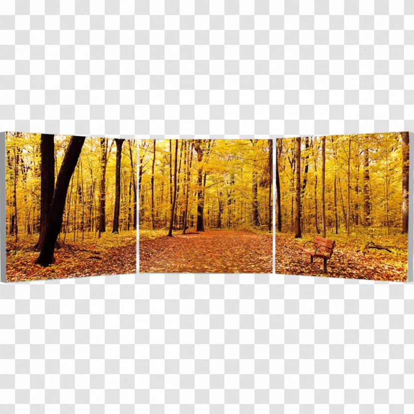 Stock Photography Triptych Art - Silhouette - Frameless Painting Transparent PNG