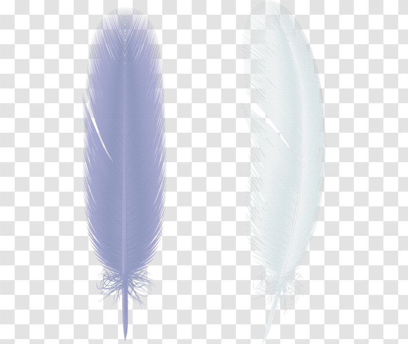 Feather Bird Download Clip Art - Transparency And Translucency Transparent PNG