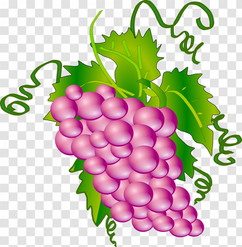 Common Grape Vine Wine Leaves Clip Art - Superfood - Grapes Green Leaf Transparent PNG
