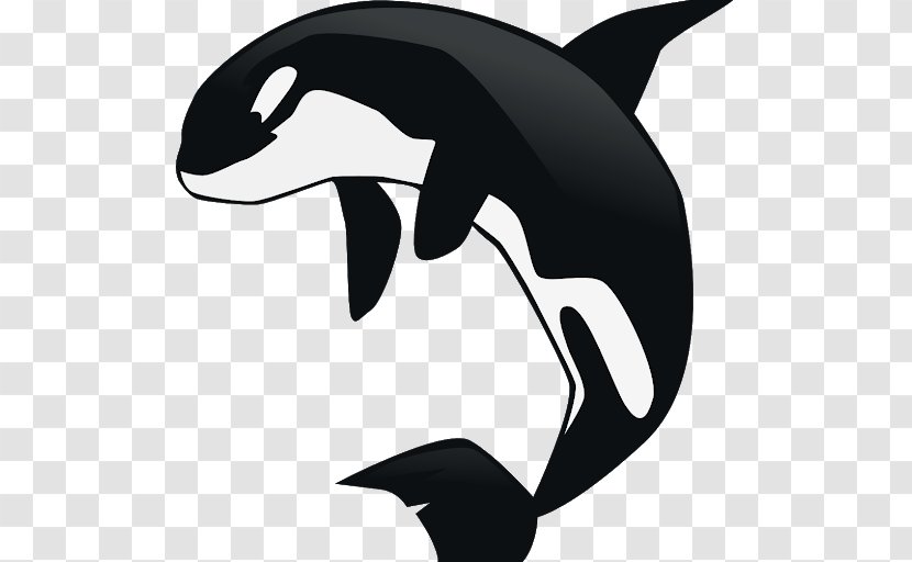 Killer Whale Baby Clip Art - Black And White Transparent PNG