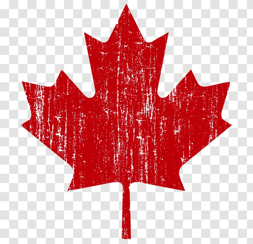 Flag Of Canada United States Thornton Grout Finnigan Maple Leaf Transparent PNG