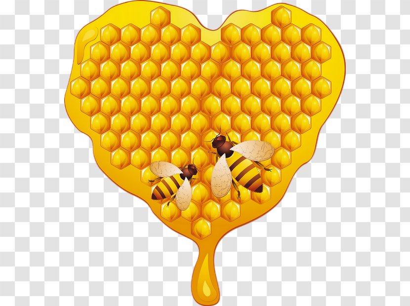 Honey Bee Honeycomb - Insect Transparent PNG