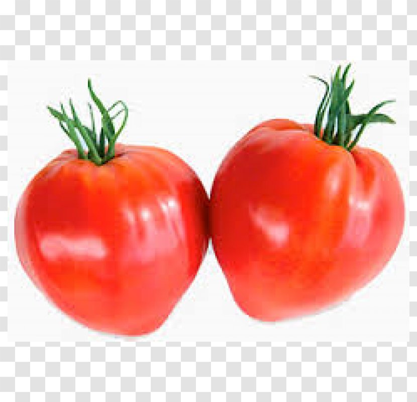 Plum Tomato Bush Cherry Beefsteak Seed - Natural Foods - Matur Transparent PNG
